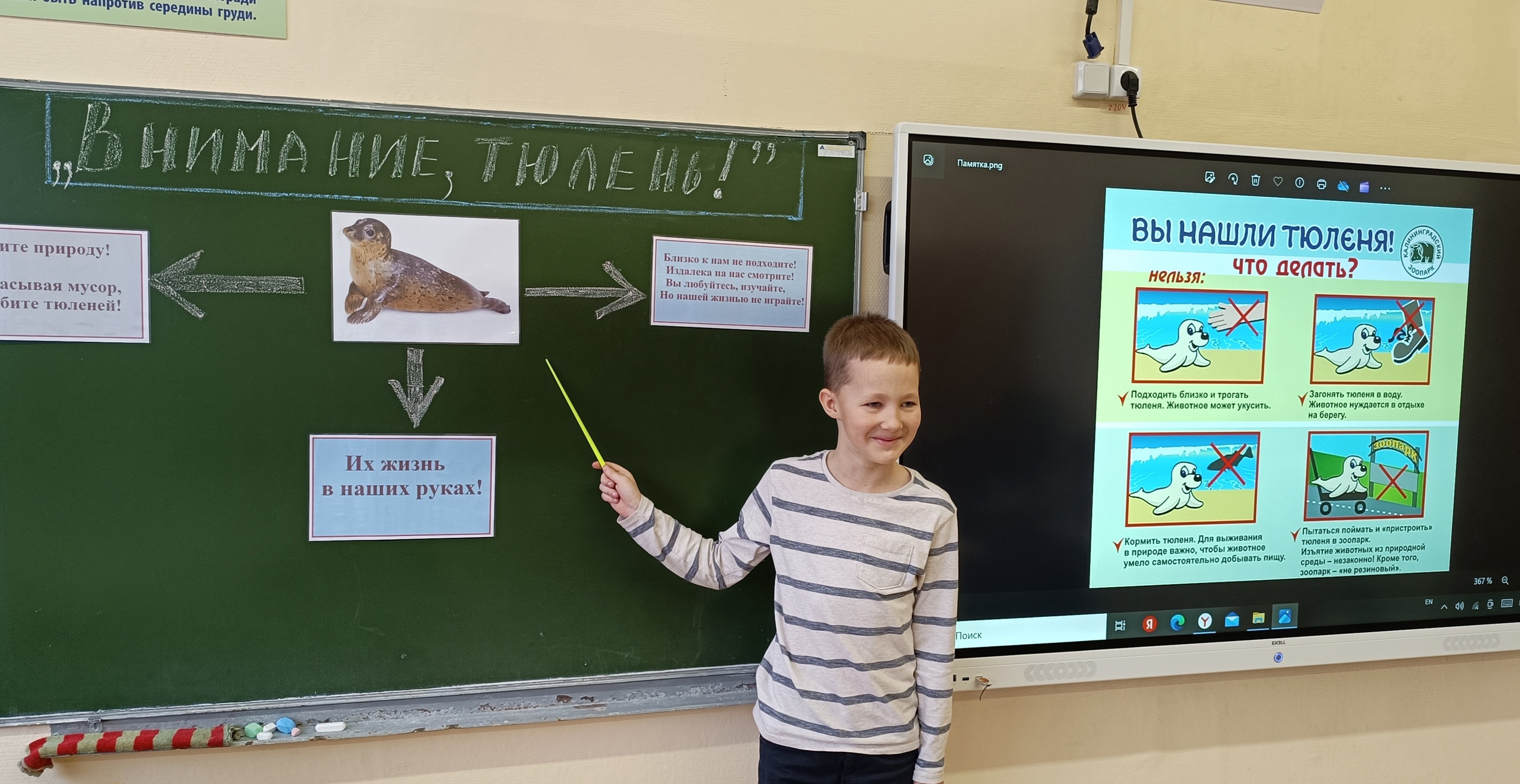 «ПРО Тюленей».