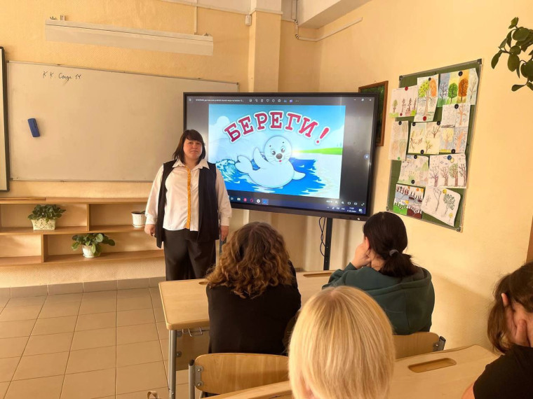 «Внимание, тюлень!».