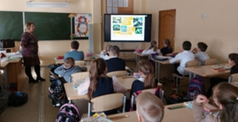 "Первоцветы -вестника весны".
